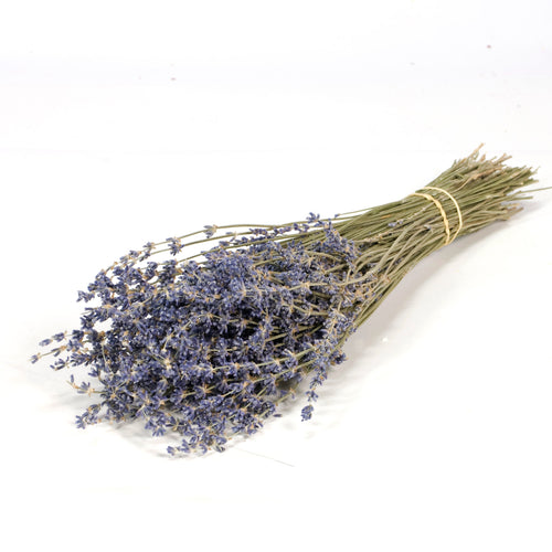 Dried Lavender Bunches Natural Blue
