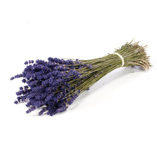 Dried Lavender Bunches Extra Blue
