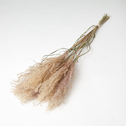 Fluffy Reed Grass, Natural Pink