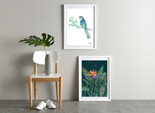 Australian Ringneck Bird Wall Print