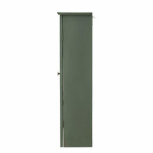 Tone Cabinet, Green, Firwood