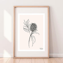 Australian Grevillea Pink Wall Print